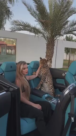 The Ultimate Faceless Creator Vault - FLASH SALE